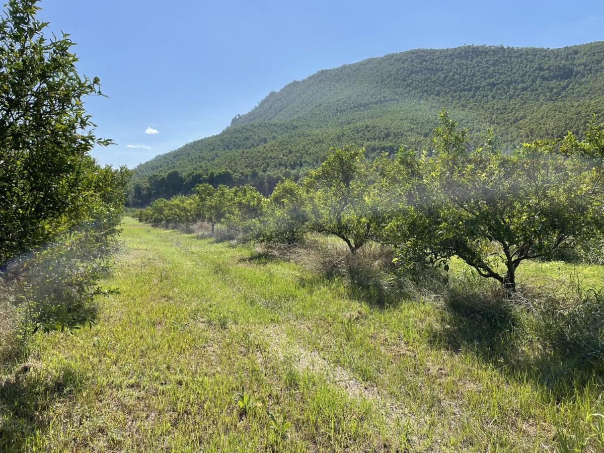 Blanca Casa Ramoncico. Finca El Campillo מראה חיצוני תמונה