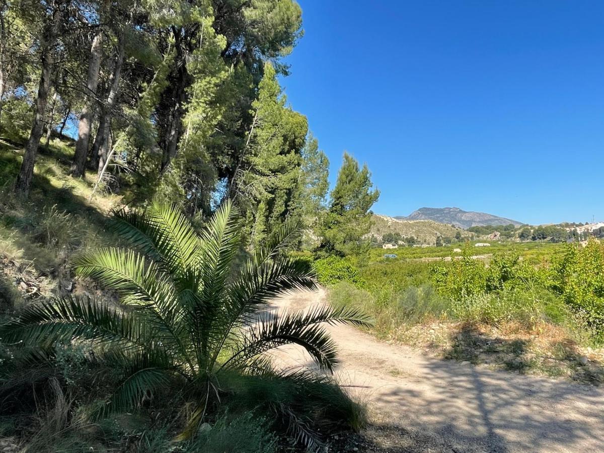 Blanca Casa Ramoncico. Finca El Campillo מראה חיצוני תמונה